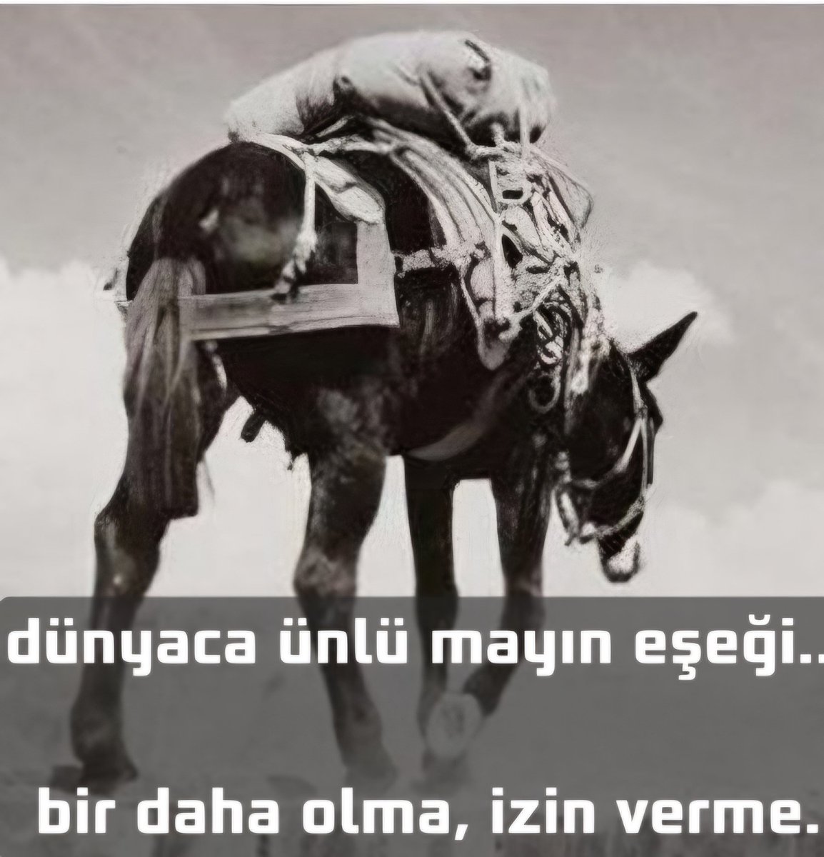 Osman Tunç tweet media