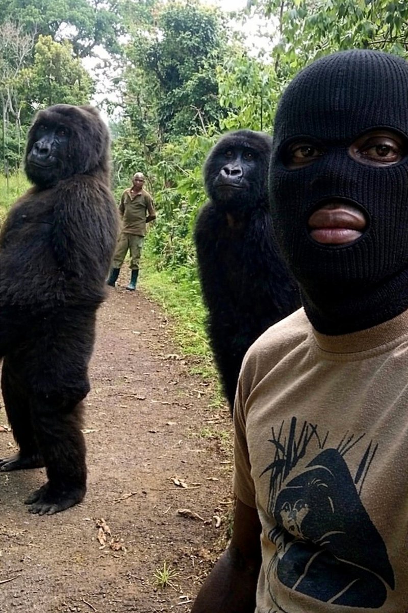 ᴡᴇllɀ tweet media