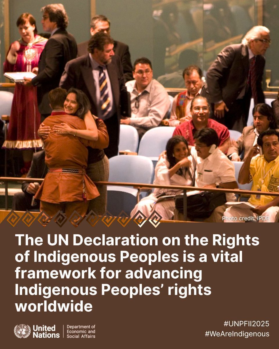 UNGeneva's tweet image. #IndigenousPeoples continue to lead the movement to uphold their rights. 

Despite relevant progress, implementation of #UNDRIP Declaration remains inconsistent and insufficient. 

👉 buff.ly/uQwEDPv 
#WeAreIndigenous
