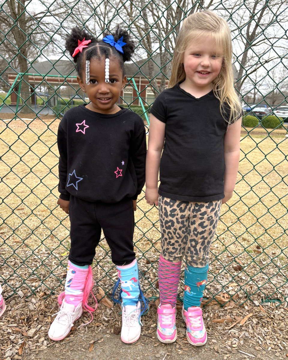 The Sunshine House tweet media