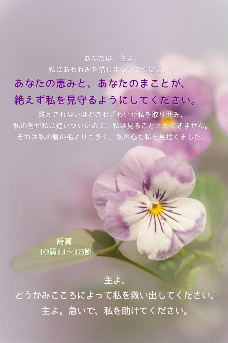 Love♡Jesus tweet media