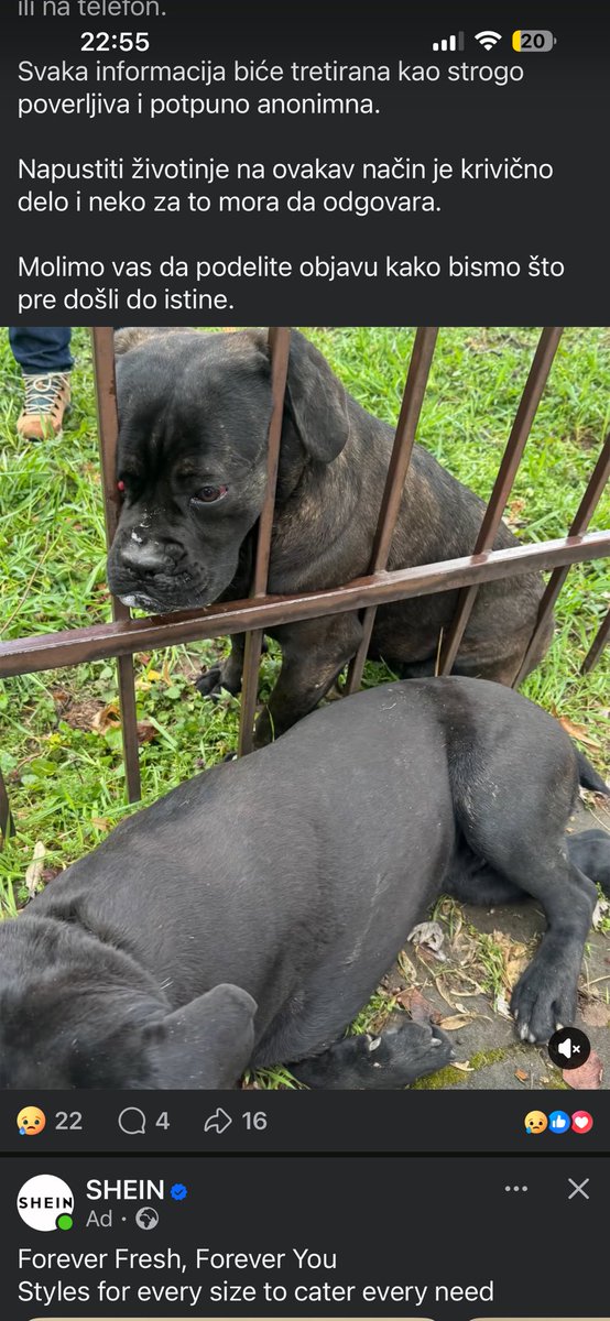 neuravnotezeno velicanstvo tweet media