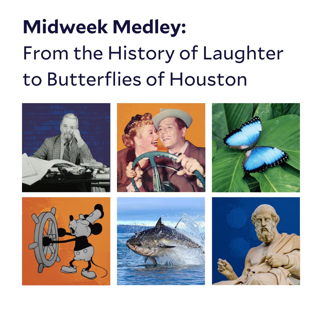 Rice Continuing Studies tweet media