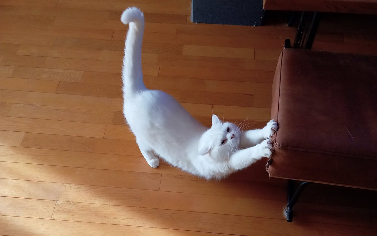 ぬ
　  う
　　    う
　　　　 ぅ
　　　　　ぅ
　　　　　 ぅ
　　　　　ぅ
　　　　 ぅ
　　　  ぅ
　　　ぅ
　　　ぅ
　　　 ぅ
　　　　ぅ
　　　　　ん
　　　　　　♪