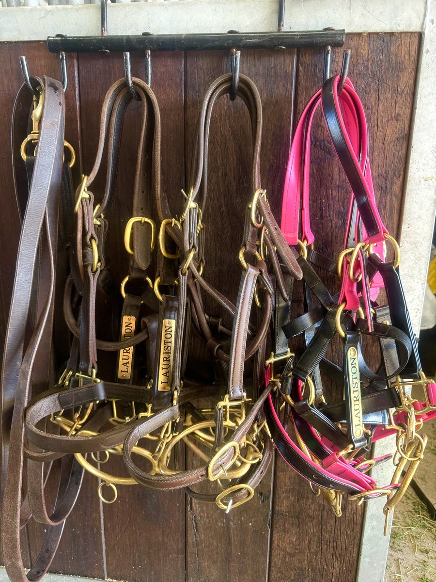 Northern Rivers Equine & Llowalong Farms tweet media