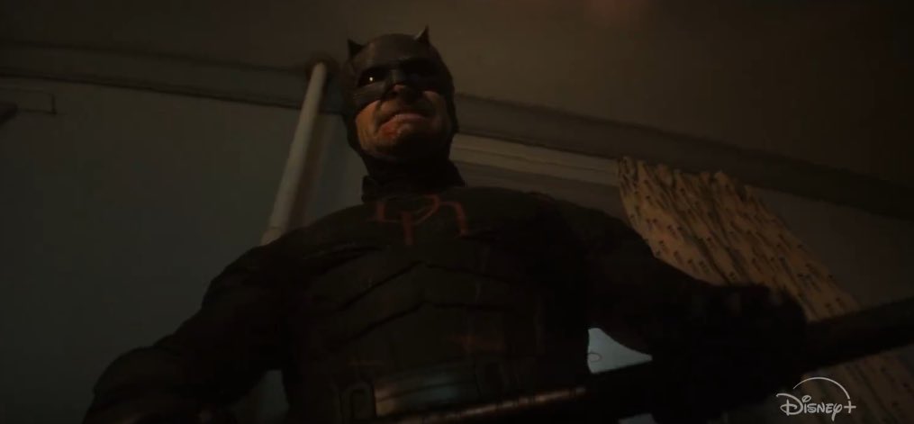 Enzito🦝🦊 tweet media