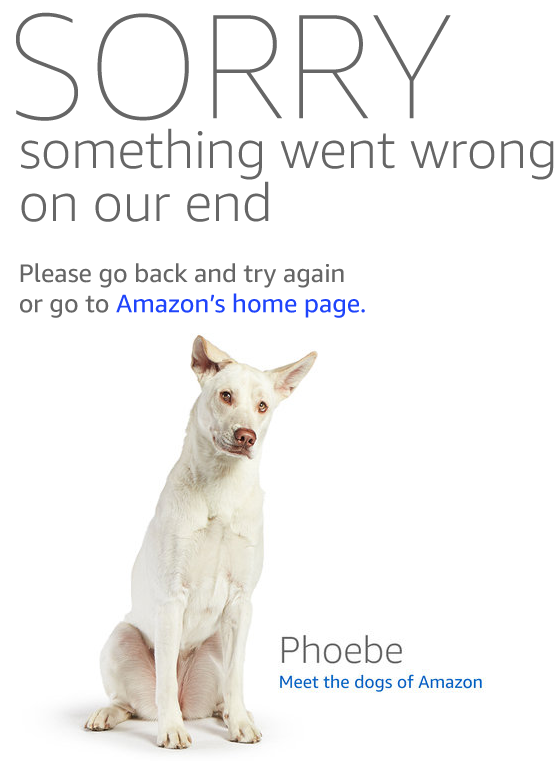 Rajesh Iyer tweet media