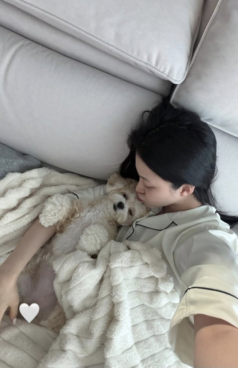 PicsSomyi's tweet photo. ♡ story update! ♡ https://t.co/Itw9igb6TN