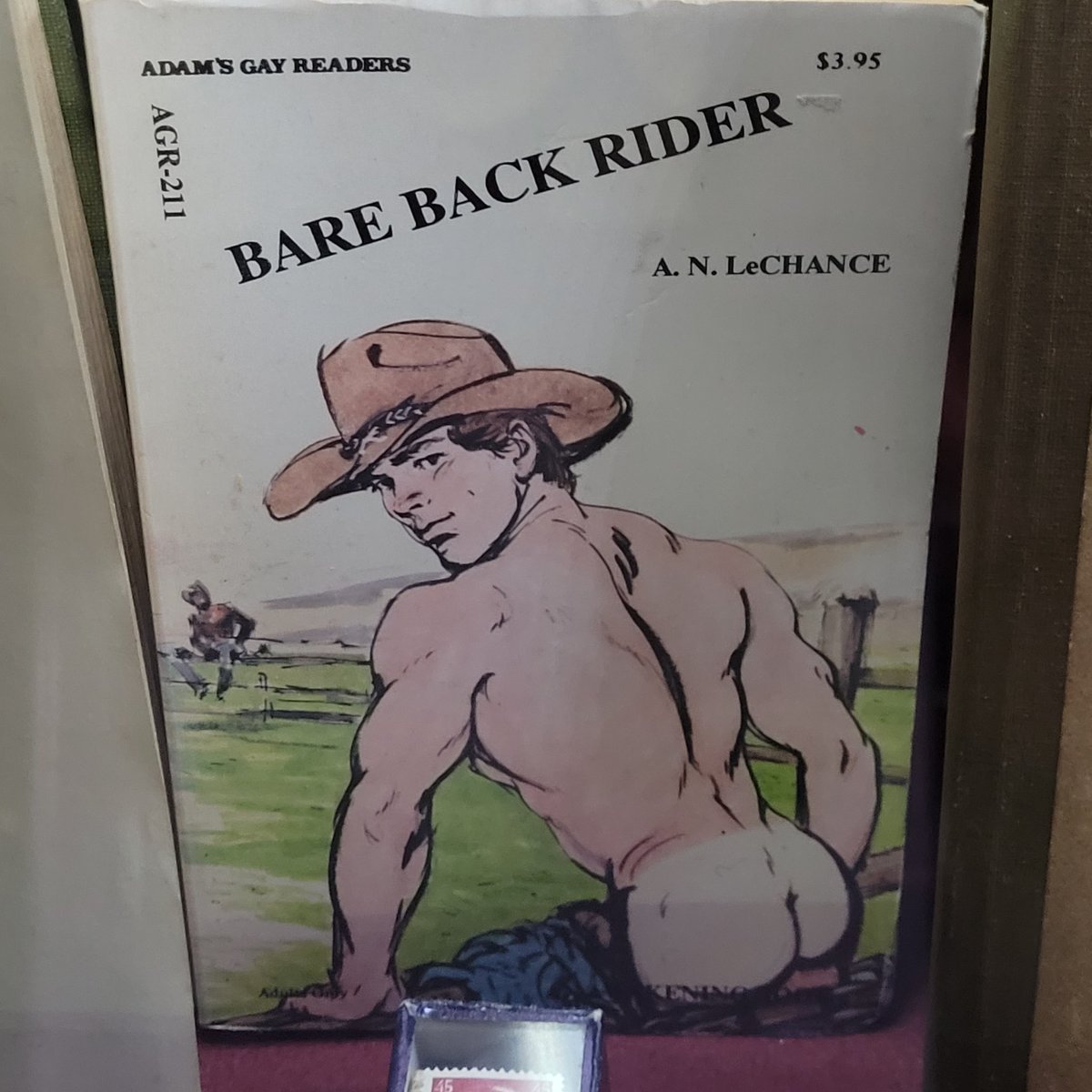 MsAppointedIsBack tweet media