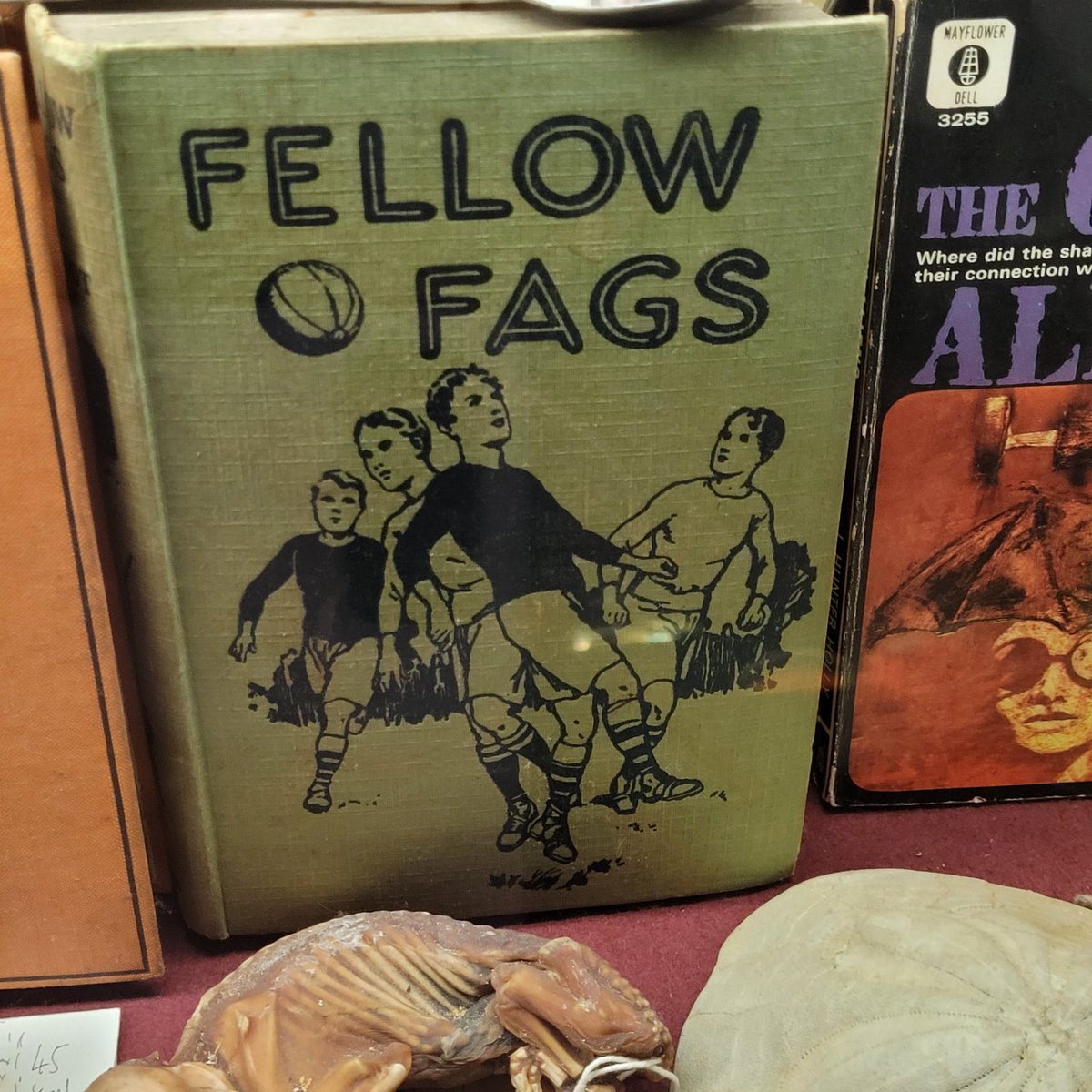 MsAppointedIsBack tweet media