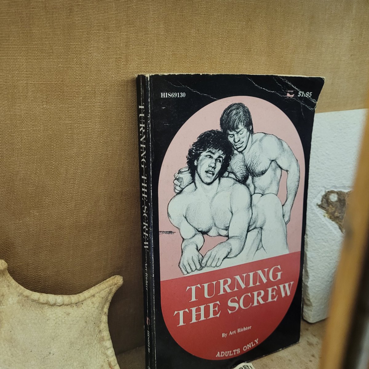 MsAppointedIsBack tweet media