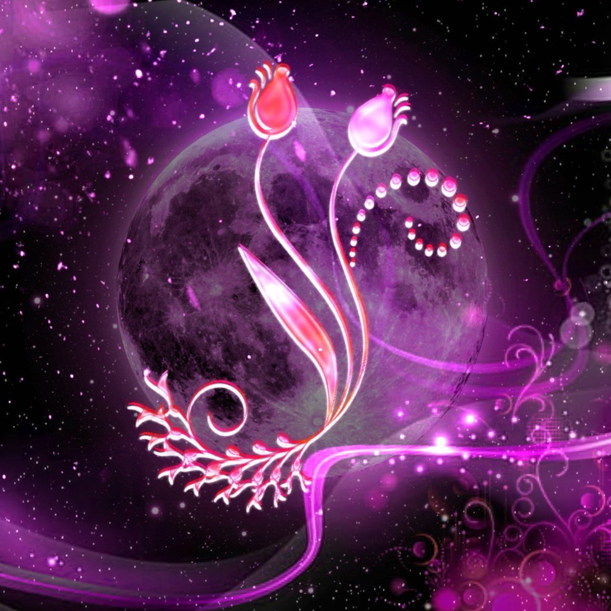 のあ！👻【ふぁみーゆ代表】めりあ/SMASH𝓢𝓟 tweet media