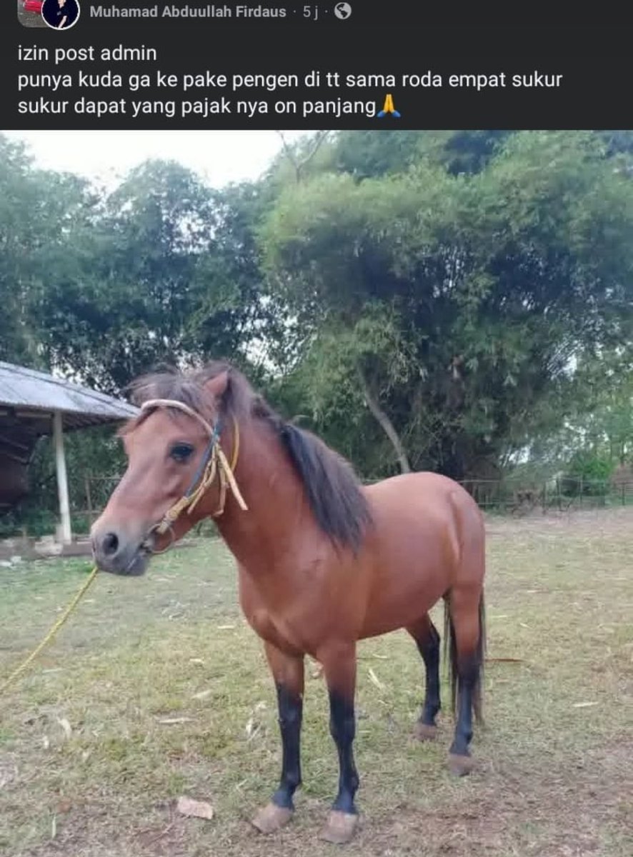 SmwGwOto tweet media