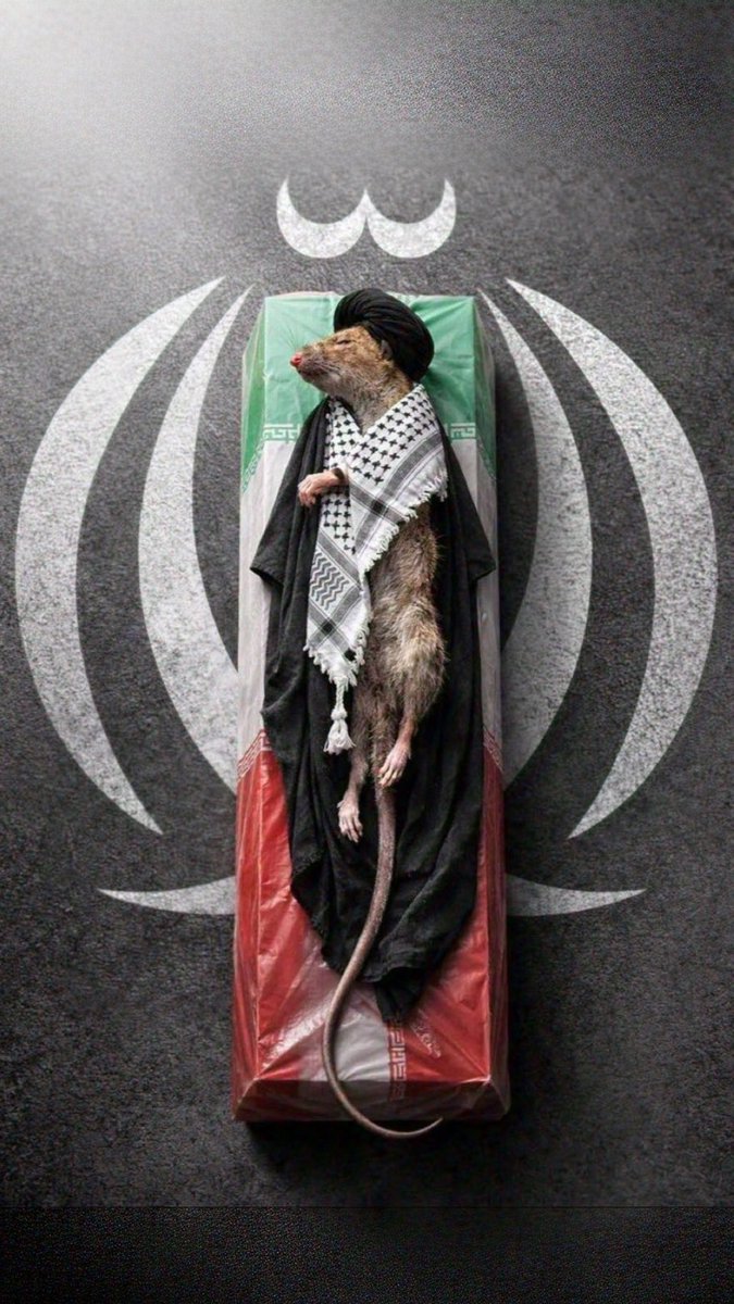 امام کلمن (ع) tweet media