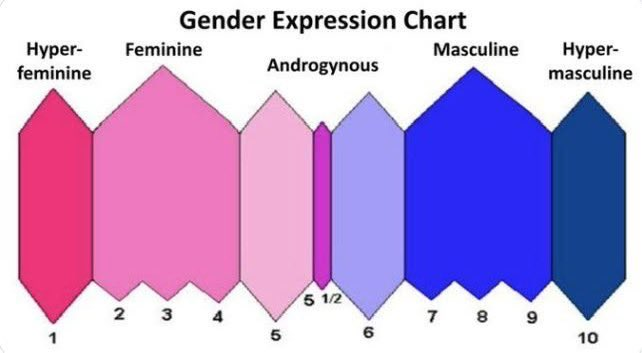 im like genuinely so curious guyspls tell m