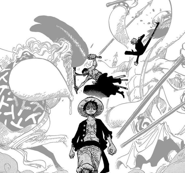 One Piece Daily tweet media