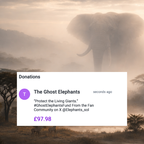 Ghost Elephants tweet media