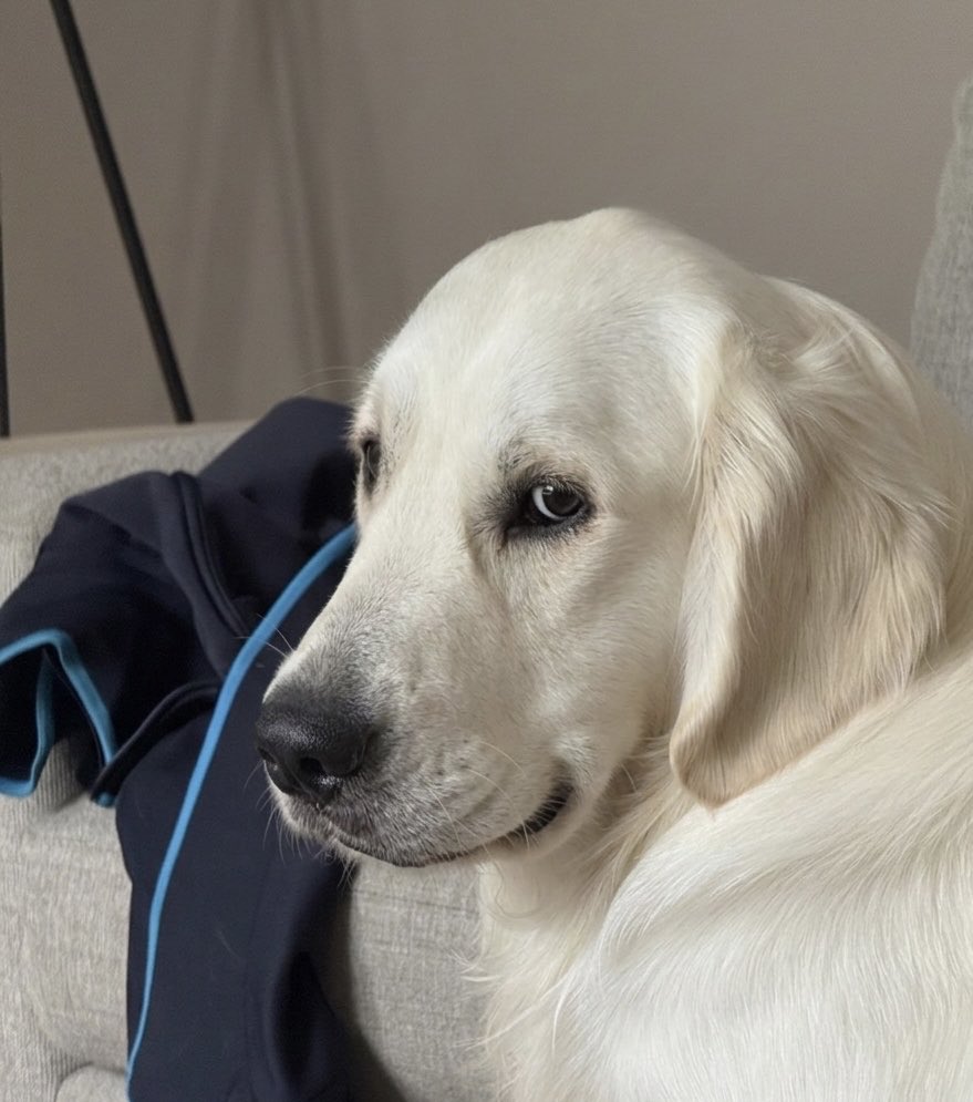 YankeeGunner tweet media