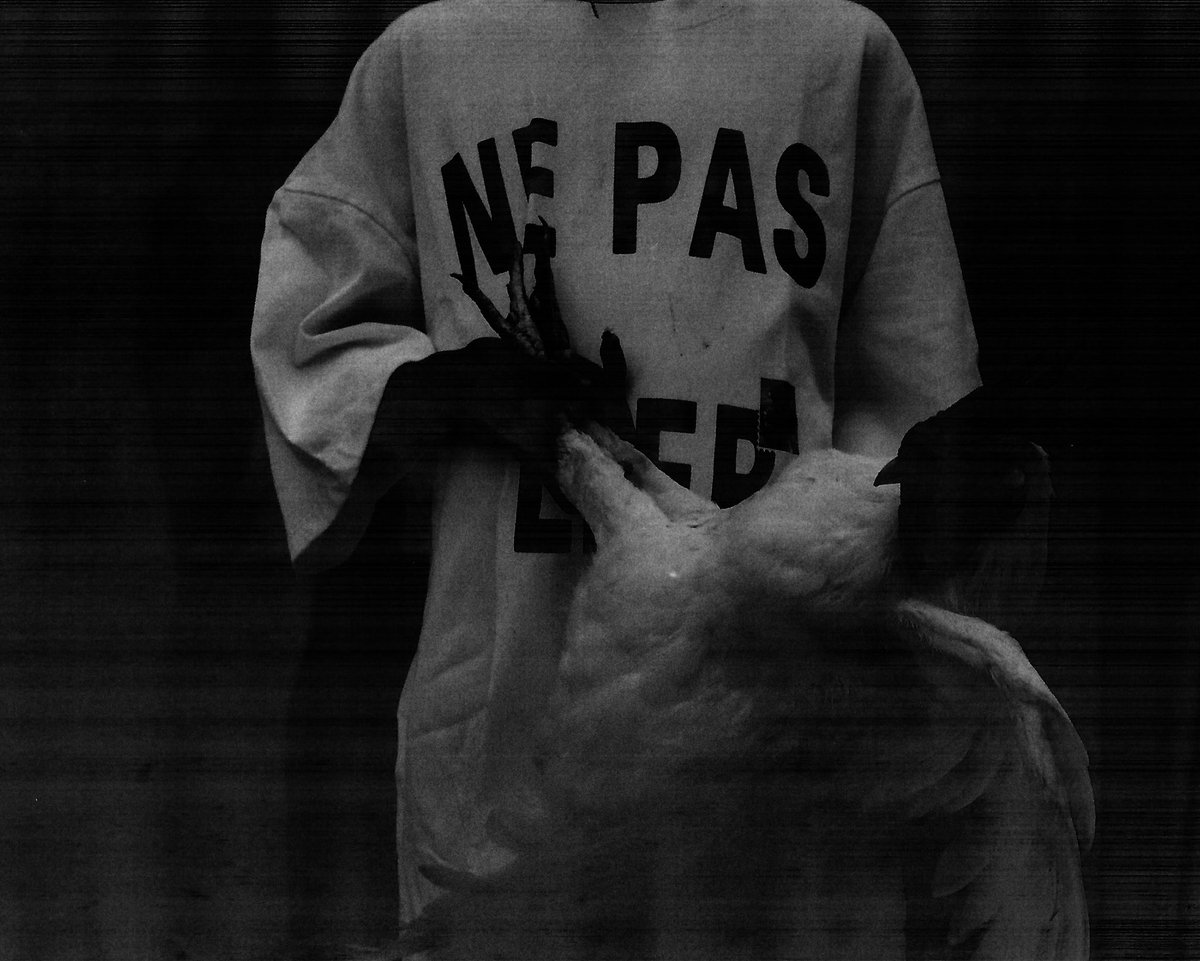 Koku Awuye tweet media