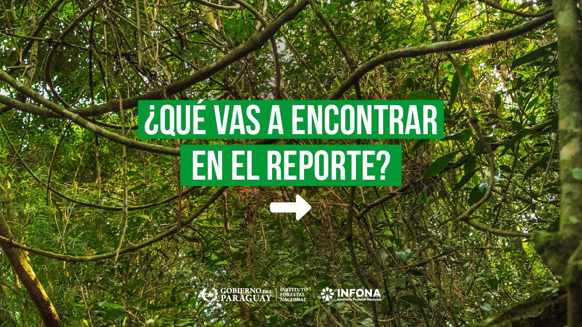 Instituto Forestal Nacional del Paraguay tweet media