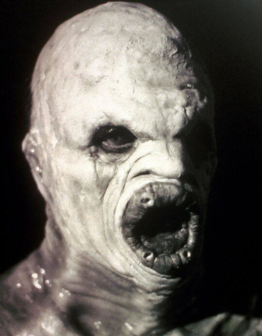 el famoso connard ivre mort tweet media