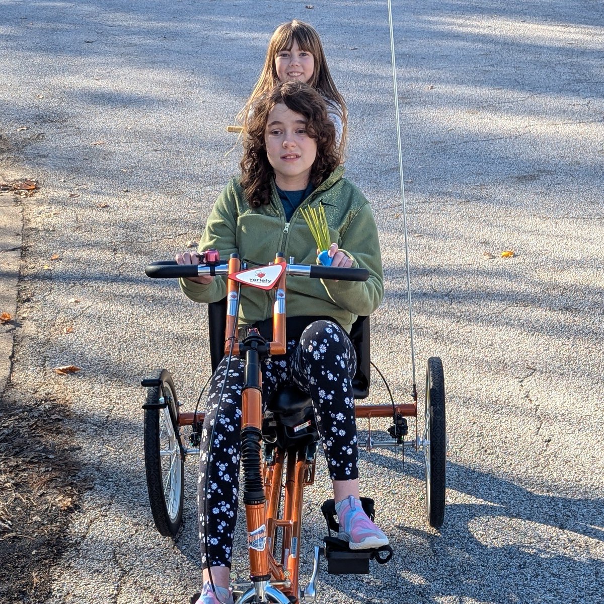 Variety the Children's Charity of St. Louis tweet media