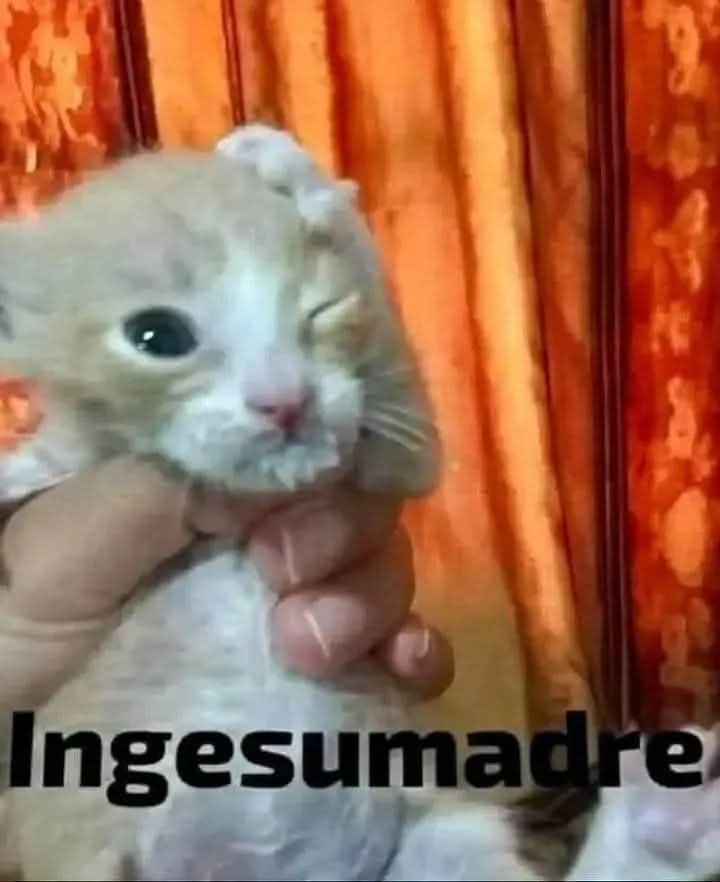 💀The Demie2💀 tweet media