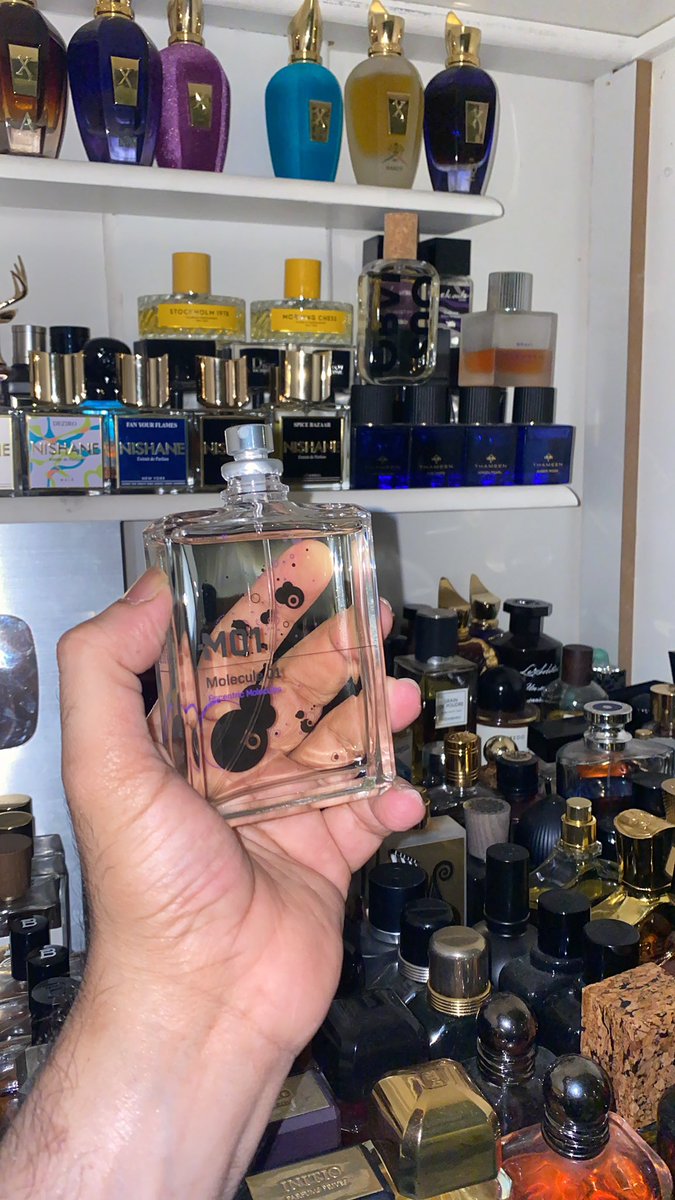 𝔹𝕒𝕤𝕙␈🇸🇦 tweet media