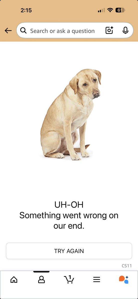 Derek Bolin tweet media