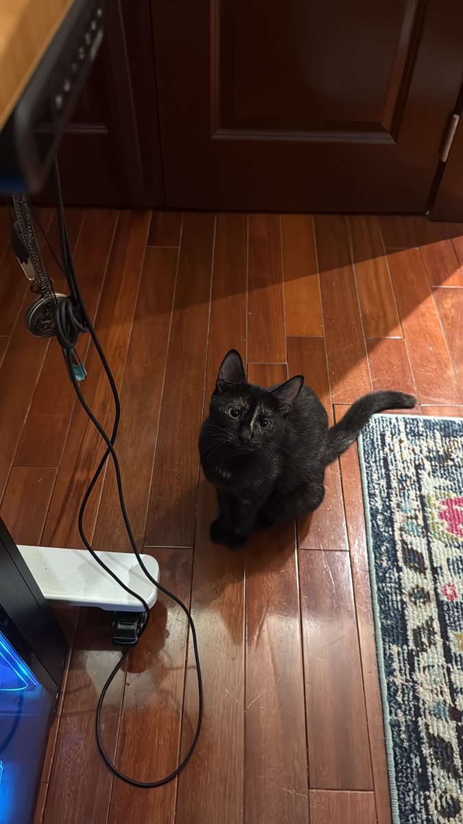 MASOQUISTA tweet media