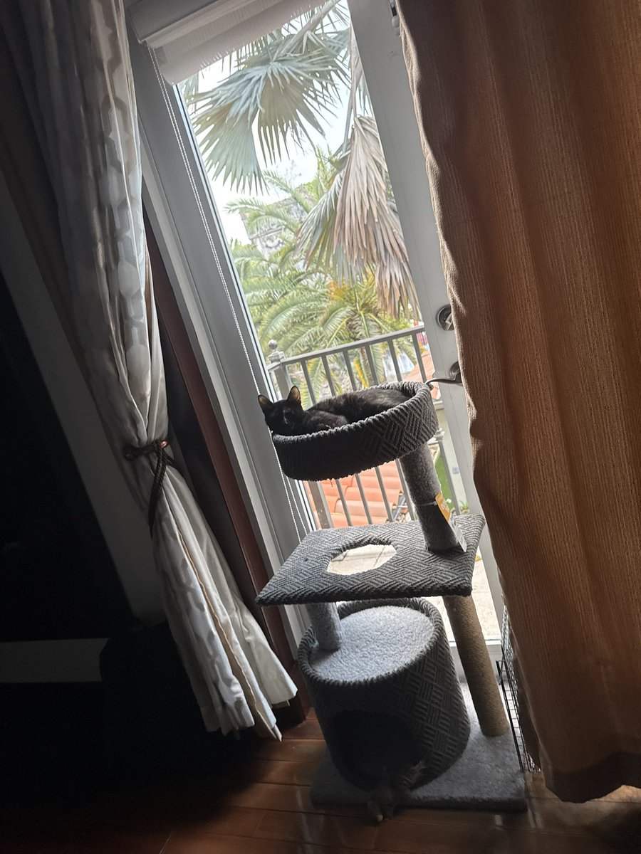 MASOQUISTA tweet media