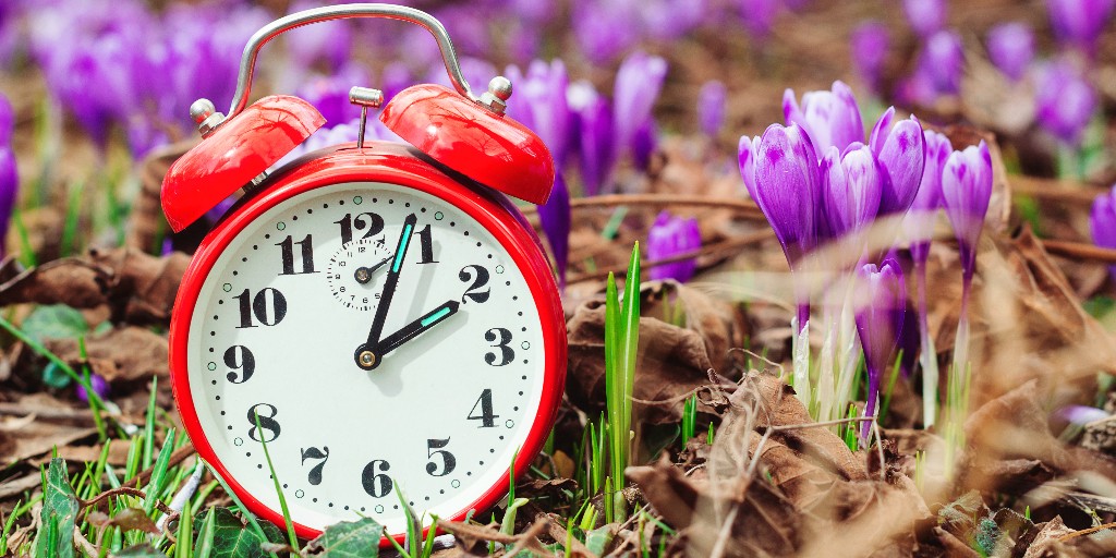 Docufree tweet media