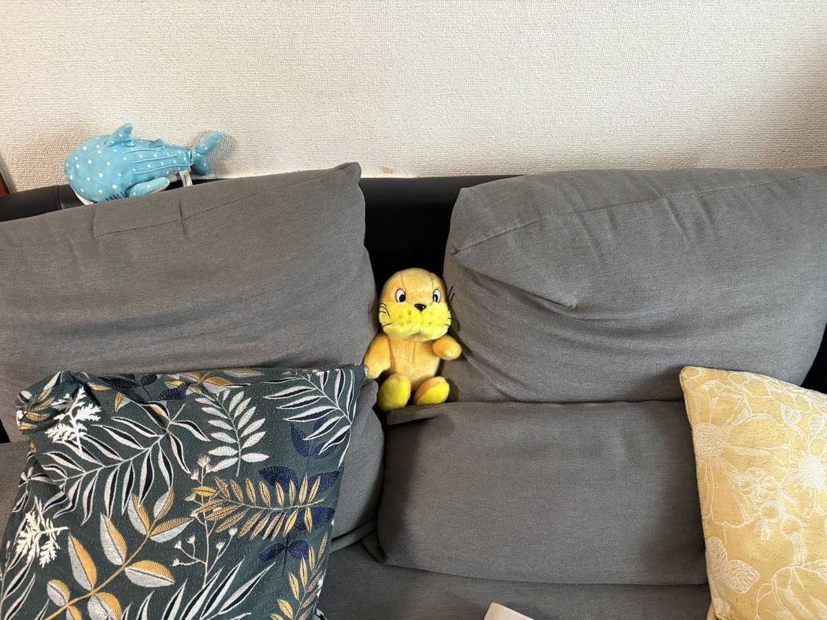 富山貴記[とみー] tweet media