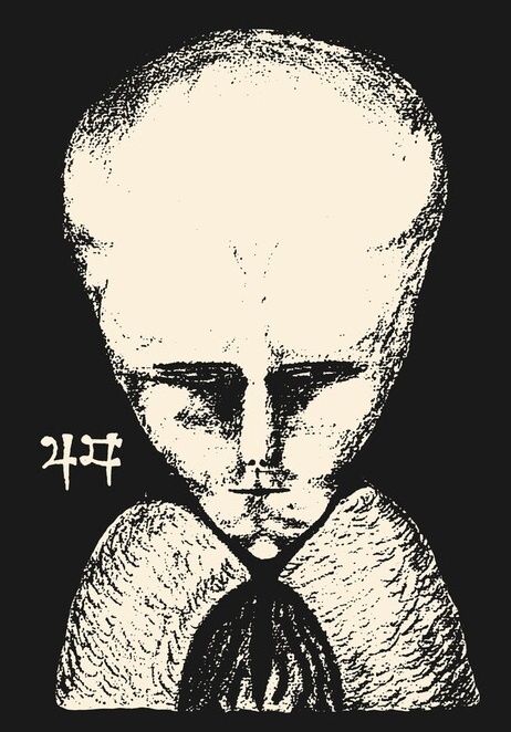 Turtle 🐢 tweet media