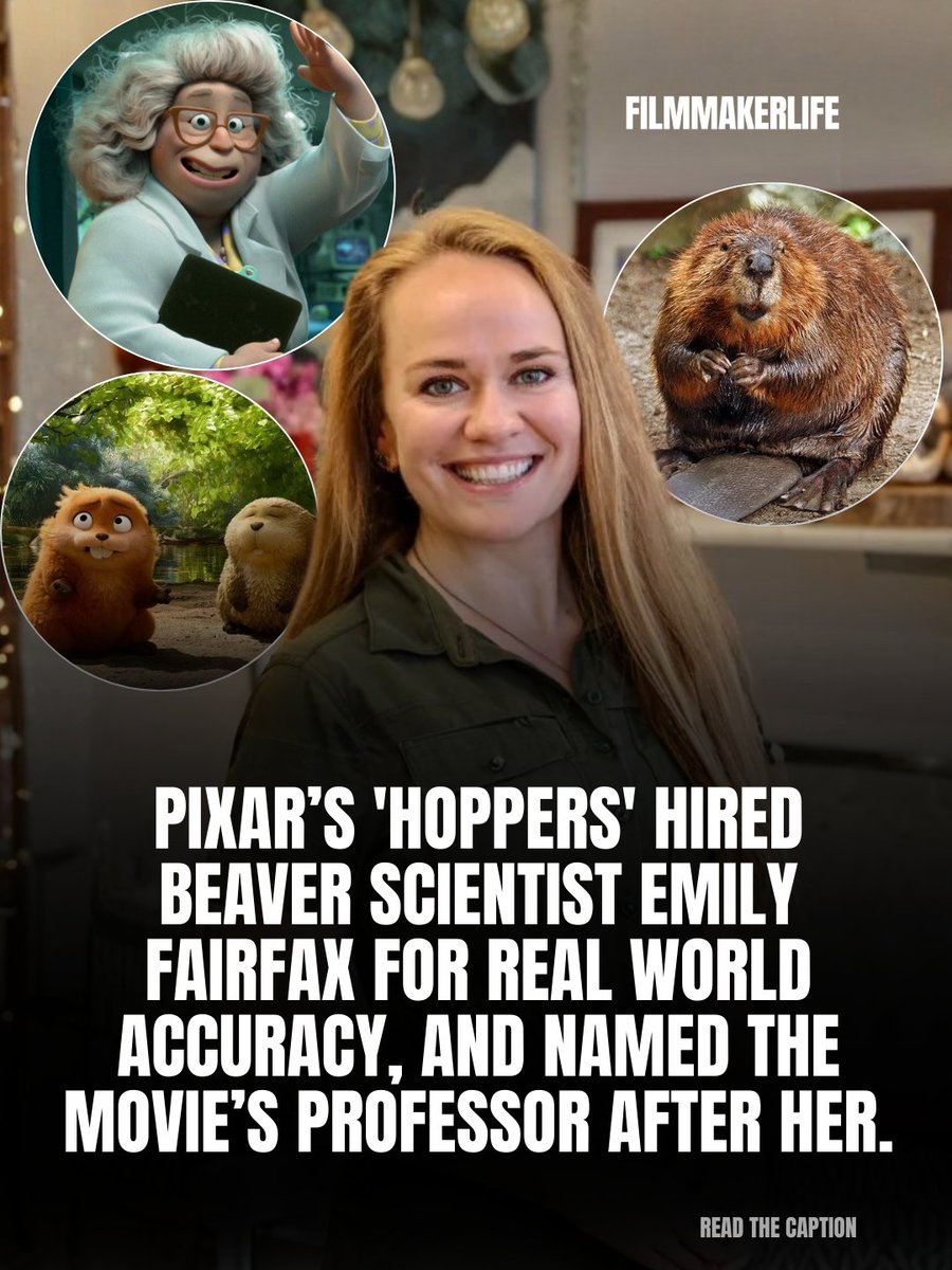 FilmmakerLife tweet media