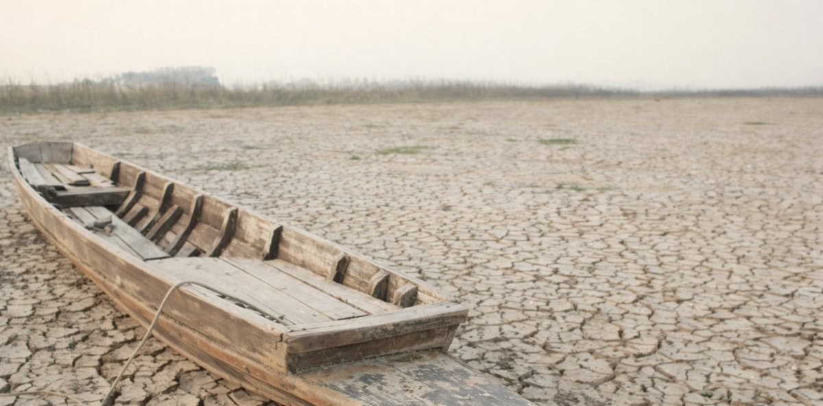 Cosmion Science | 宇宙と自然 tweet media