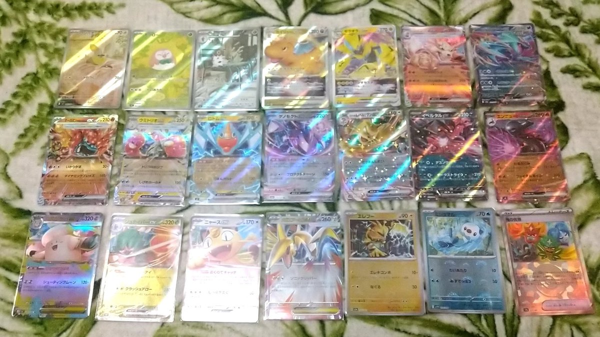 匁瀏ちゃ。 tweet media