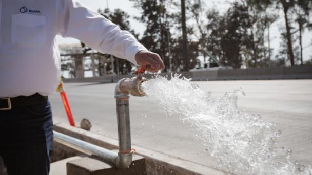 Canal 44 tweet media