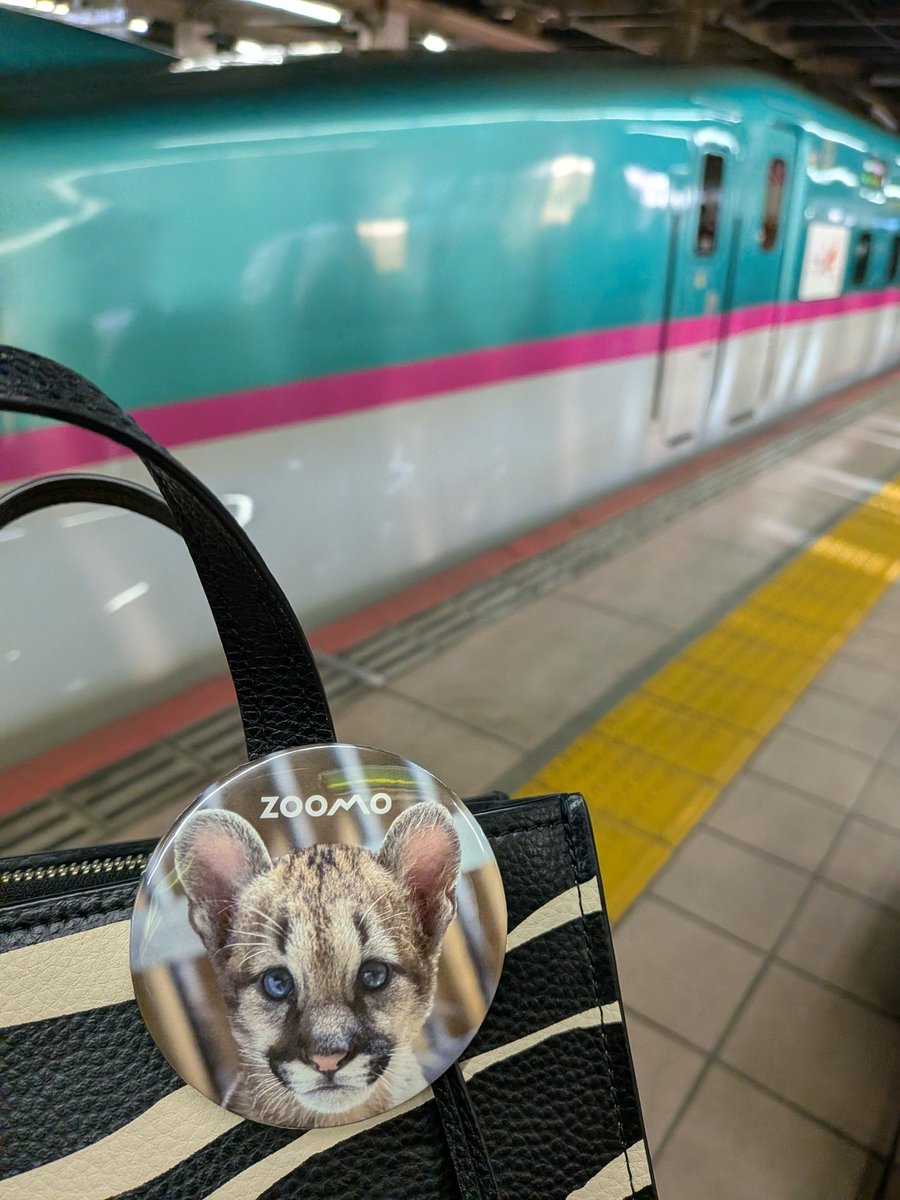 lucifer (@lucifercats2) / Posts / X