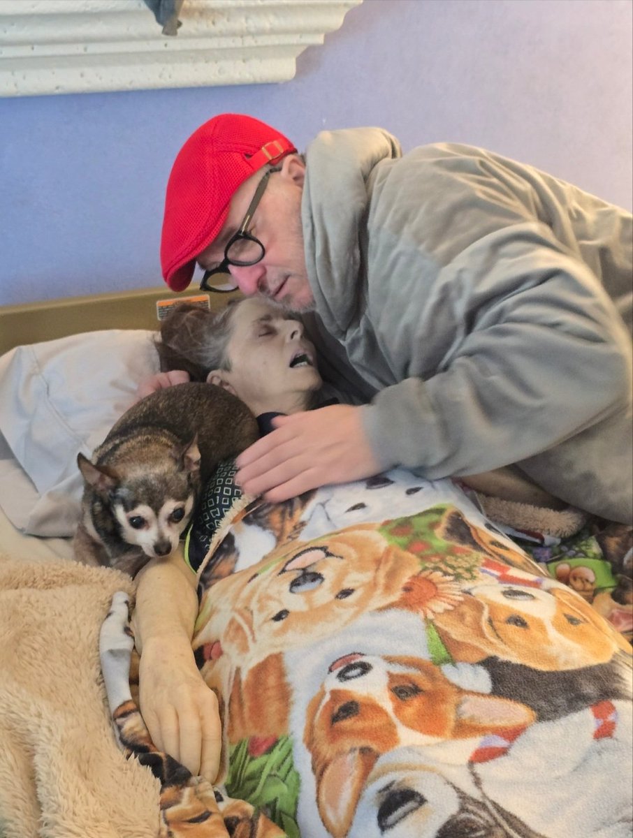 michaeljwhelan tweet media