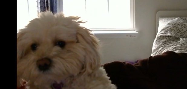 ♡ shyshy . 🥞 T97 AKI5 tweet media