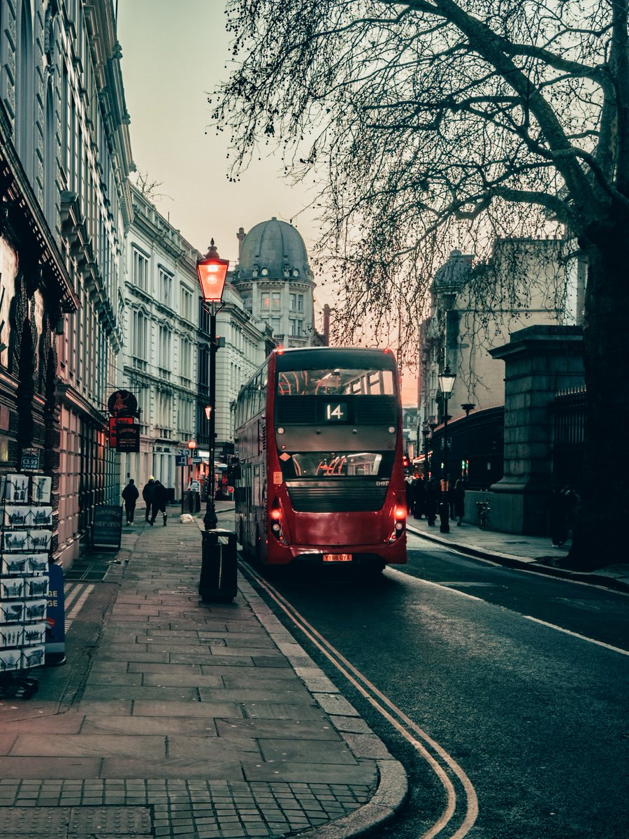 Moment Pro Camera tweet media