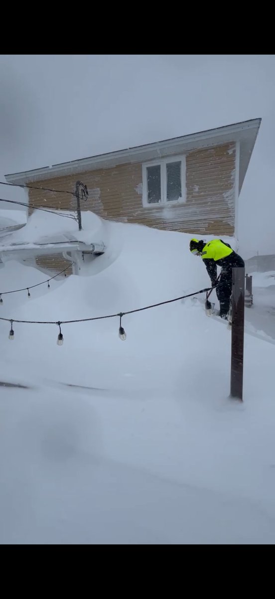 Wayne Walsh tweet media