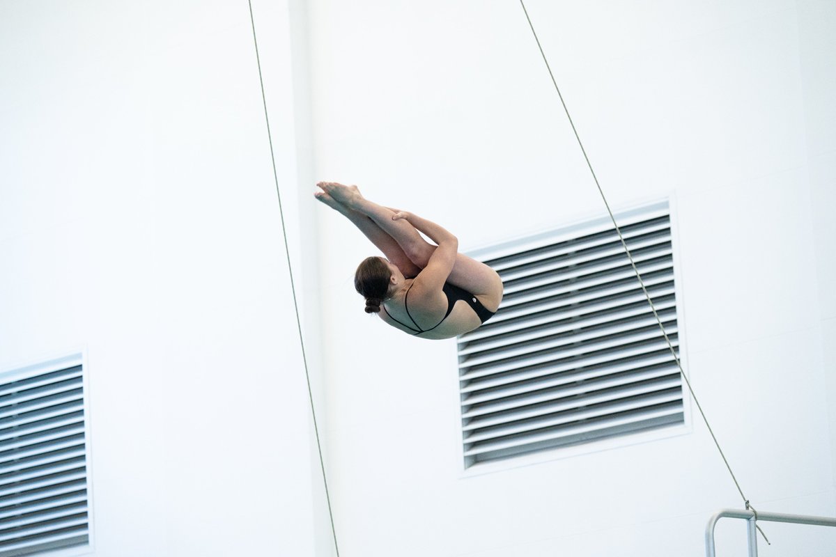 NM State Swim & Dive tweet media