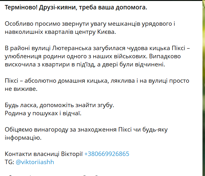 друзі❗️ Хелп❗️ КИЇВ❗️
допоможіть знайти кішечку!!!! Це кішечка побратима мого сина. Улюблена! втікла в районі вулиця Лютеранська.
Контакти власниці Вікторії +380669926865 
TG: @viktoriiashh