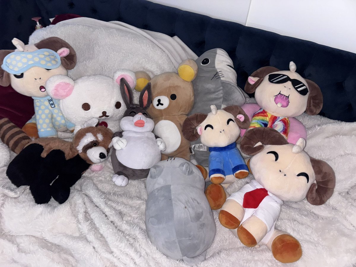 DokiDeReal 🐾 IRL Acc ❤️‍🩹 tweet media