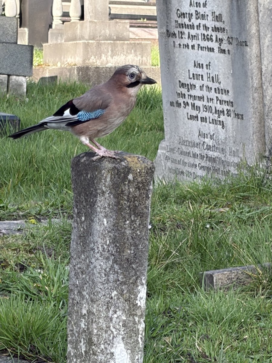 The Brompton Bunch tweet media