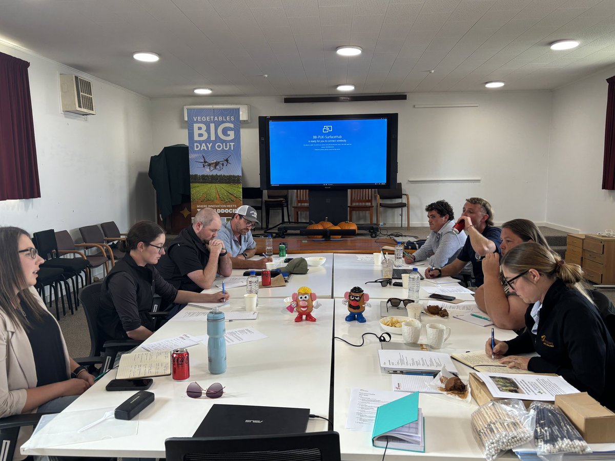 Potatoes New Zealand tweet media