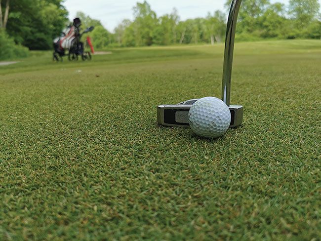 Turf And Recreation tweet media