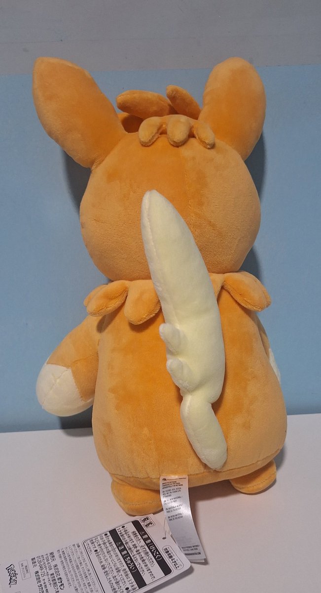 NateTheTrainer ⚡︎ tweet media